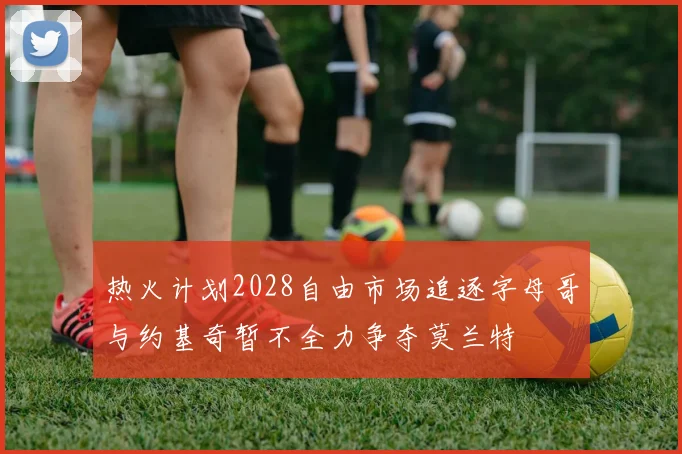 热火计划2028自由市场追逐字母哥与约基奇暂不全力争夺莫兰特