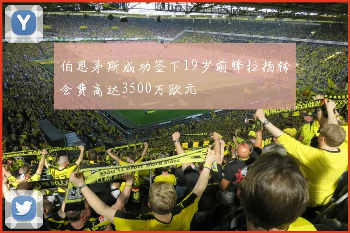 伯恩茅斯成功签下19岁前锋拉扬转会费高达3500万欧元