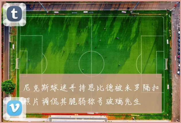 尼克斯球迷手持恩比德被米罗隔扣照片调侃其脆弱称号玻璃先生